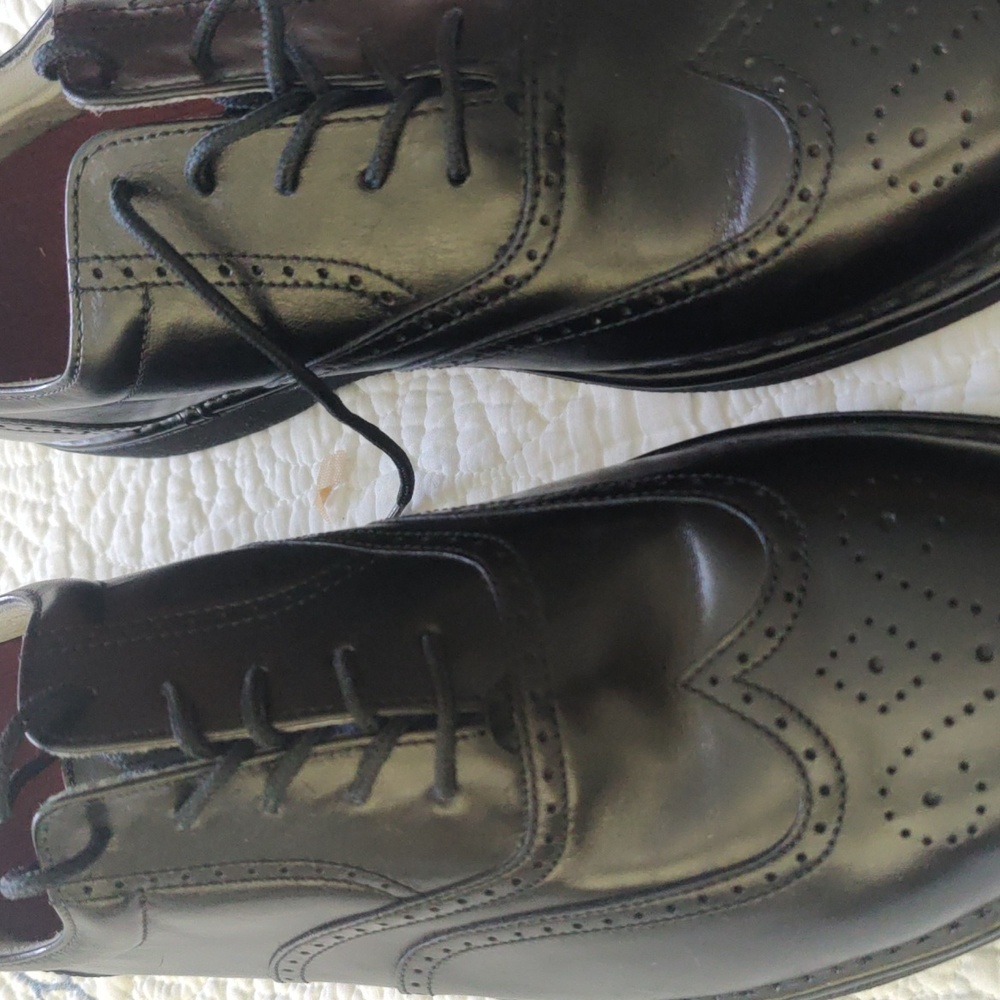 Men's shoes Rockport